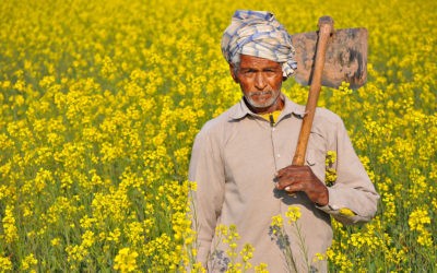 An Indian Farmer