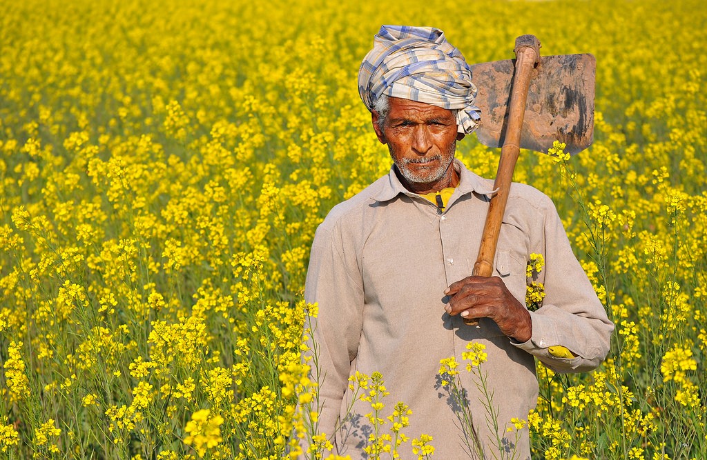 Indian Farmer VegFlow India