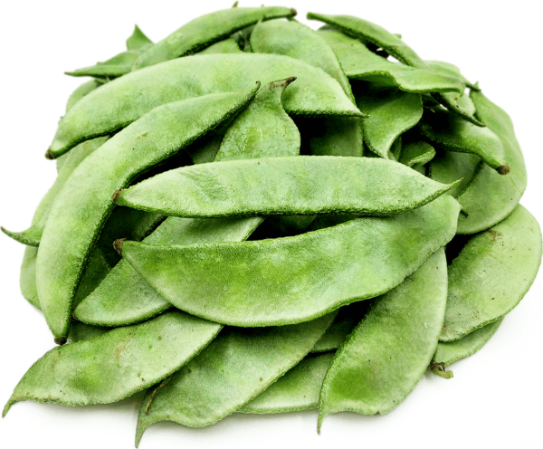 Indian Beans From Vegflow India